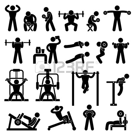12483514-palestra-palestra-body-building-exercise-fitness-training-workout.jpg