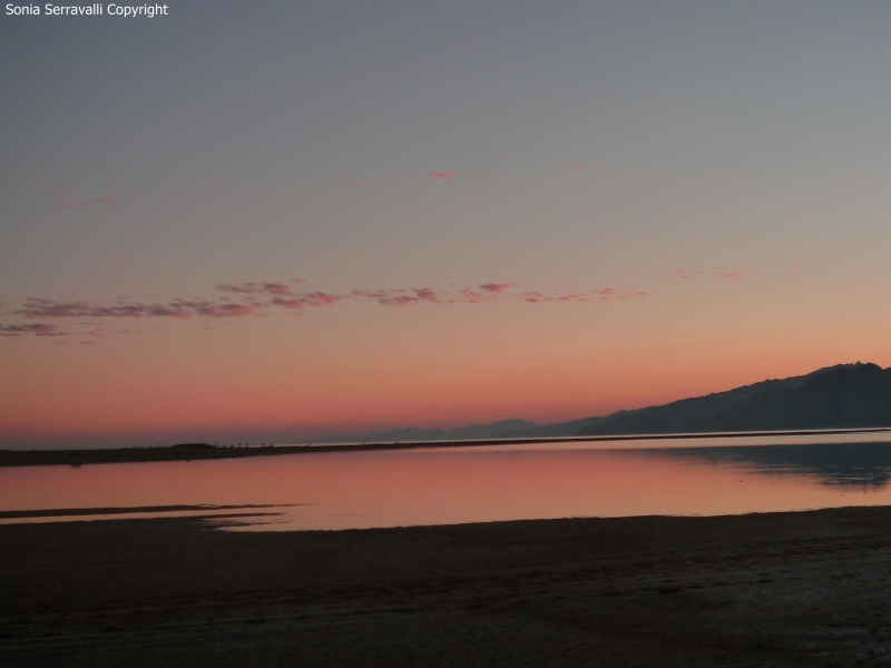 Dahab-2014P1080910.JPG