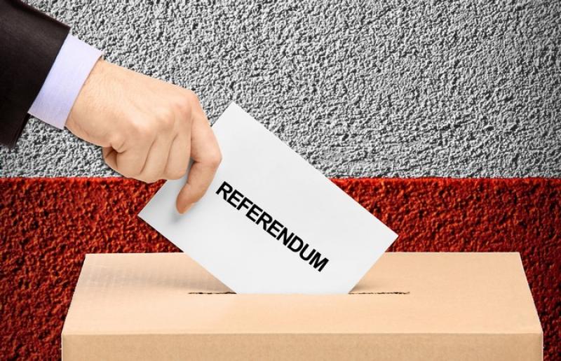REFERENDUM-2d29.jpg