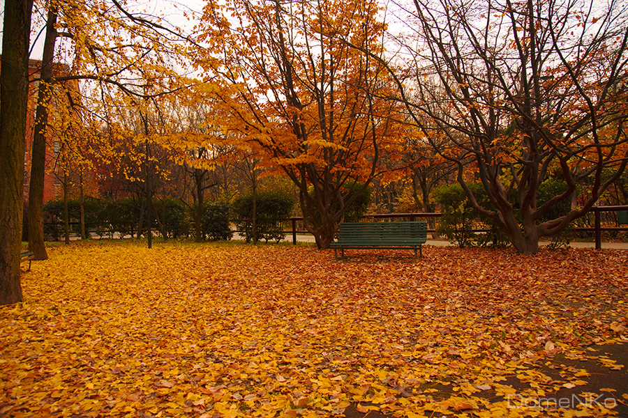 28_Parco-Spazio-Arte-_-Sandro-Pertini_.jpg
