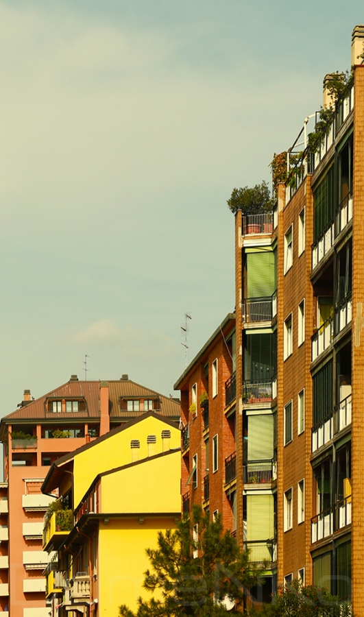 Foto di Domenico Galli