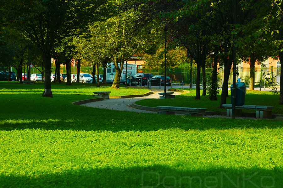 Foto di Domenico Galli