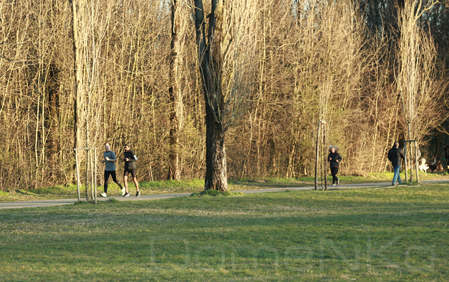 Foto di Domenico Galli