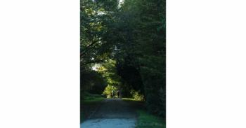 Foto di Domenico Galli