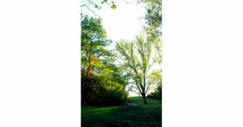 Foto di Domenico Galli