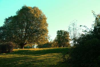 Foto di Domenico Galli