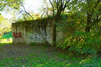 Foto di Domenico Galli