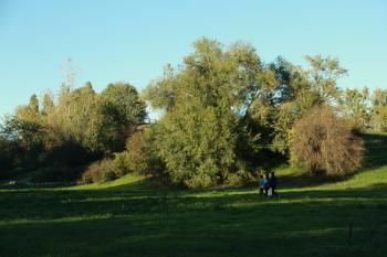 Foto di Domenico Galli