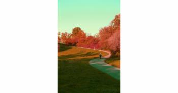 Foto di Domenico Galli