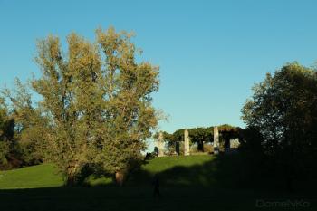 Foto di Domenico Galli