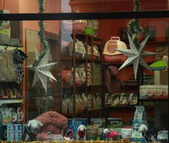 Foto di Domenico Galli