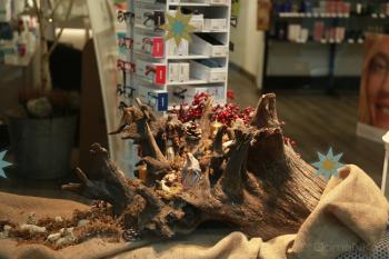 Foto di Domenico Galli