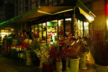 Foto di Domenico Galli