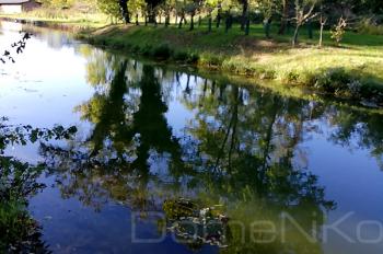Foto di Domenico Galli