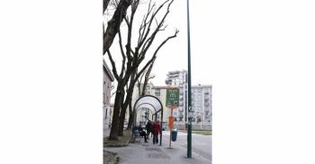 Foto di Domenico Galli