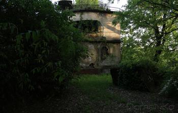 Foto di Domenico Galli