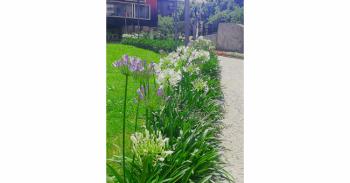 Foto di Domenico Galli