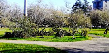 Foto di Domenico Galli