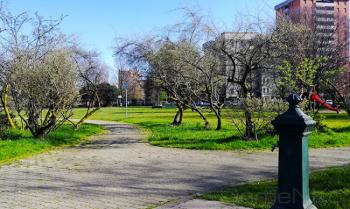 Foto di Domenico Galli