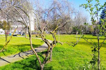 Foto di Domenico Galli