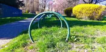 Foto di Domenico Galli