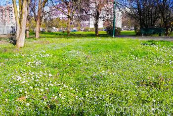 Foto di Domenico Galli