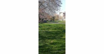 Foto di Domenico Galli