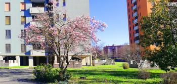 Foto di Domenico Galli