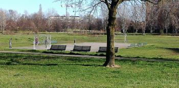 Foto di Domenico Galli