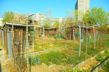 Foto di Domenico Galli