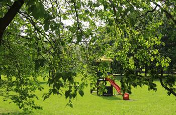 Foto di Domenico Galli