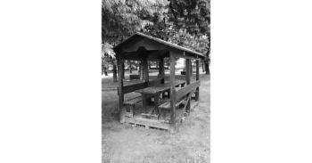 Foto di Domenico Galli