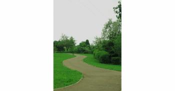 Foto di Domenico Galli