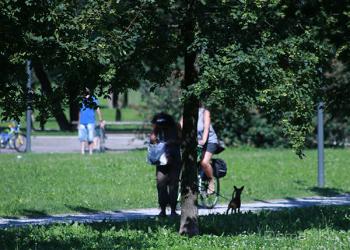 Foto di Domenico Galli