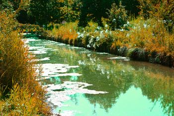 Foto di Domenico Galli