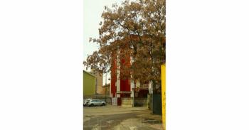 Foto di Domenico Galli