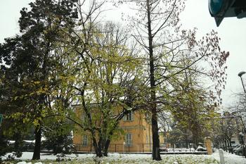 Foto di Domenico Galli