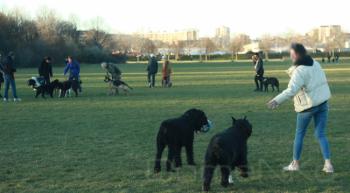 Foto di Domenico Galli