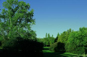 Foto di Domenico Galli