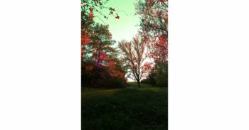 Foto di Domenico Galli