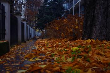 Foto di Domenico Galli