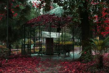 Foto di Domenico Galli