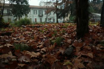 Foto di Domenico Galli