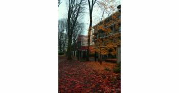 Foto di Domenico Galli