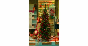 Foto di Domenico Galli