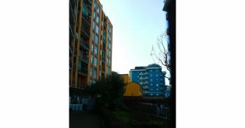 Foto di Domenico Galli