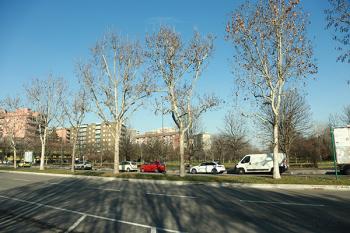 Foto di Domenico Galli