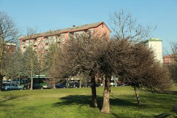 Foto di Domenico Galli