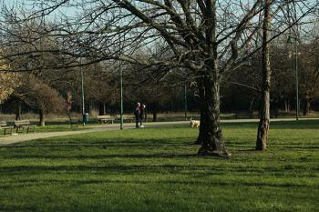 Foto di Domenico Galli