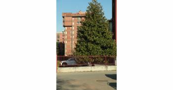 Foto di Domenico Galli